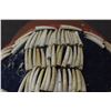 Image 13 : PLATEAU DENTALIUM HAT