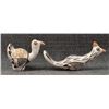 Image 1 : ACOMA POTTERY BIRD (LUCY M LEWIS)