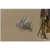 Image 8 : KIOWA PAINTING (BOBBY HILL "WHITE BUFFALO")