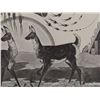 Image 8 : POTAWATOMIE PRINT (WOODY CRUMBO)