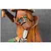 Image 10 : HOPI KACHINA (CEDRIC HONYUMPTEWA)