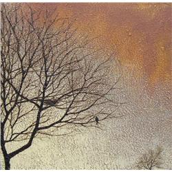 Shannon Williamson