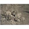 Image 2 : Edward Sheriff Curtis
