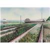 Image 1 : William Kurelek