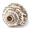 Image 5 : Vajrayogini Buddha Conch Shell Horn