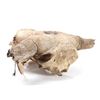 Image 10 : Painted Native American Buffalo Skull