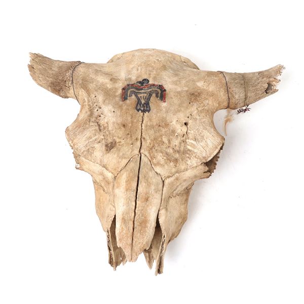 Painted Native American Buffalo Skull