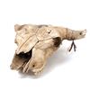 Image 2 : Painted Native American Buffalo Skull