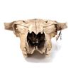 Image 8 : Painted Native American Buffalo Skull