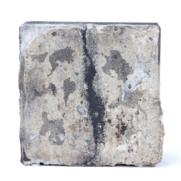 "Within * Without" Organic Mixed Media by Roger Weik 2005