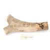 Image 5 : Handsome Elk Antler Carved Scrimshaw Cribbage Board