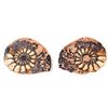 Image 1 : Gorgeous Ancient Fossilized Pair of Ammonite Fossils