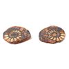 Image 2 : Gorgeous Ancient Fossilized Pair of Ammonite Fossils