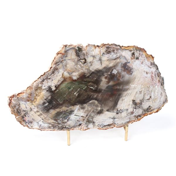 Gorgeous Petrified Wood Slab w/Stand