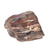 Image 1 : Wonderful Petrified Wood Section