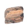 Image 5 : Wonderful Petrified Wood Section