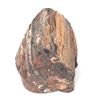 Image 7 : Wonderful Petrified Wood Section
