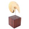 Image 3 : Mounted Nautilus Half Shell
