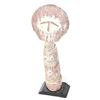 Image 1 : African Wood Ashanti Fertility Doll