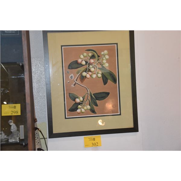FRAMED BOTANICAL WATERCOLOR ON KRAFT PAPER, "FALSE KAMANI"