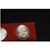 Image 2 : CAMEO PINS & PENDANTS (3 PCS)