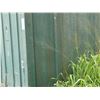 Image 23 : Container Storage Hawaii Green 50' Shipping Container w/ Plywood Reinforced Walls