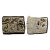 Image 1 : Magadha Imperial (C. 321-150 BC), Silver Karshapana, 3.27 gms.