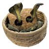 Image 1 : Vintage Pop Out Cobra In A Basket
