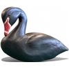 Image 1 : Vintage Hand Painted & Carved Pacific Rim Carvers Wooden Duck