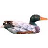 Image 2 : Vintage Hand Carved & Painted Wooden Duck