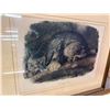 Image 8 : 7x Vintage J. J. Audubon Animal Prints