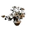 Image 2 : Vintage Jape Plant