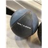 Image 2 : TWO MEDICINE BALLS 10 LB EACH