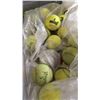 Image 2 : TOTE OF TENNIS BALLS