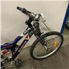 Image 3 : BLUE DYNO BIKE