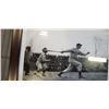 Image 2 : TED WILLIAMS HITS A GRAND SLAM FRAMED PICTURE, DATED 1939