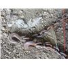 Image 2 : Chains, Hooks 