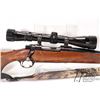 Image 2 : Non-Restricted rifle Ruger model M77, 243 Win bolt action, w/ bbl length 22" [Blued barrel and recei