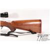 Image 8 : Non-Restricted rifle Ruger model M77, 243 Win bolt action, w/ bbl length 22" [Blued barrel and recei