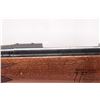 Image 11 : Non-Restricted rifle Remington model 700, .375 H&H Mag bolt action, w/ bbl length 24 1/2" [Blued bar