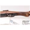 Image 25 : Non-Restricted rifle RWE model M98, 8X57 bolt action, w/ bbl length 21" [Front and rear sights remov