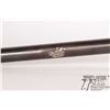 Image 25 : Non-Restricted shotgun Unknown Belgian .64 Percussion Single shot muzzle loading, w/ bbl length 29" 