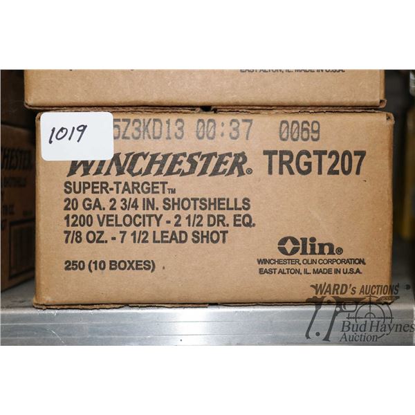 One 250 count case of Winchester super target 20 One 250 count case of Winchester super target 20 GA