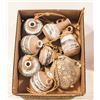 Image 1 : HANGING POTTERY