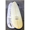 Image 1 : DAKINE FIBERGLASS SURFBOARD W/ WHITE CARRY CASE