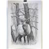 Image 1 : ELK SKETCH LIMITED PRINT 004/200 SIGNED