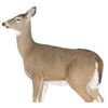 Image 1 : NEW WITH BOX MONTANA DECOY WHITE TAILED DOE DECOY