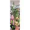 Image 1 : NEW 7FT ARTIFICIAL OLIVE TREE