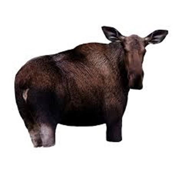 NEW MONTANA DECOY MOOSE II MOBILE DECOY SYSTEM