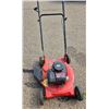 Image 1 : (ONSITE) ESTATE BRIGGS & STRATTON POULAN XLT LAWN